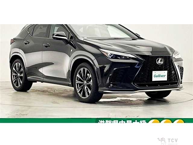 2023 Lexus NX
