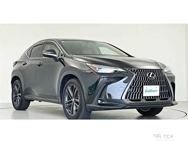 2023 Lexus NX