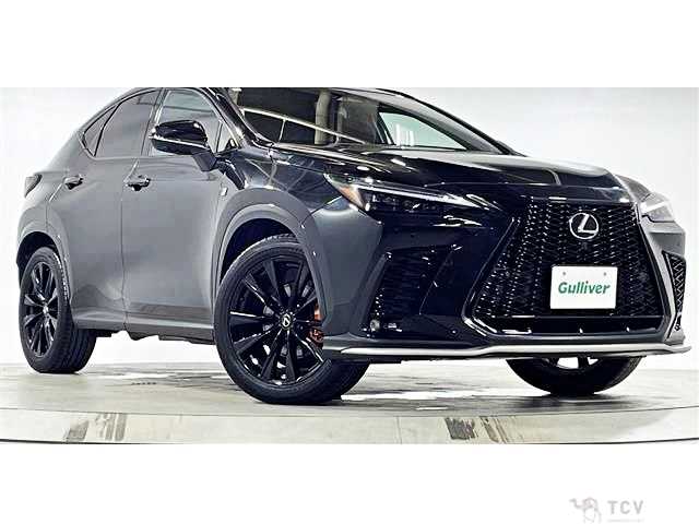 2023 Lexus NX