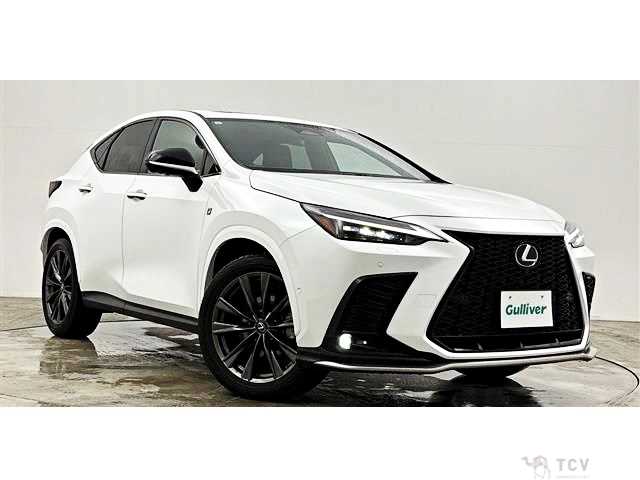 2023 Lexus NX
