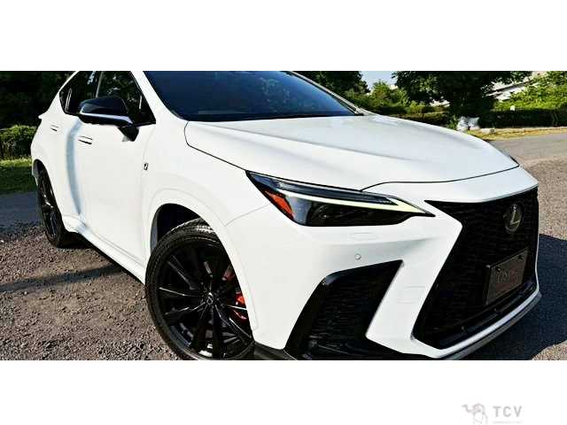 2023 Lexus NX