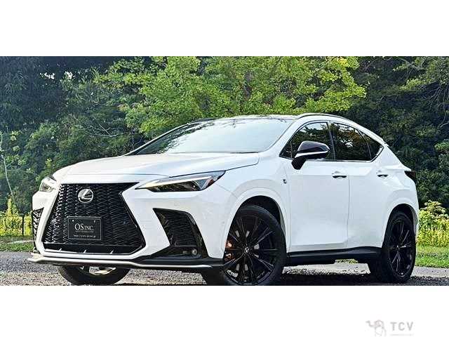 2023 Lexus NX