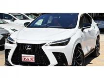 2023 Lexus NX