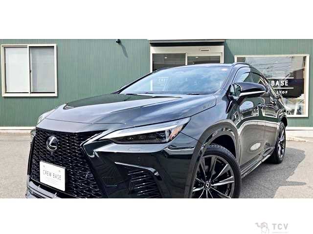 2023 Lexus NX