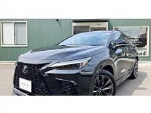 2023 Lexus NX