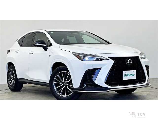 2023 Lexus NX