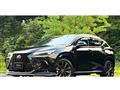 2023 Lexus NX