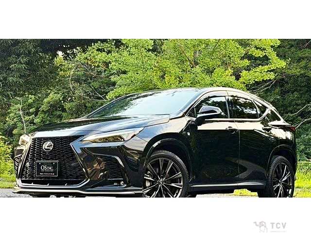 2023 Lexus NX