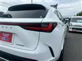 2023 Lexus NX