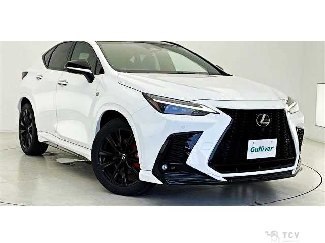 2023 Lexus NX