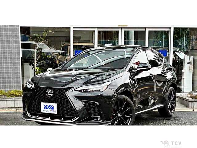 2023 Lexus NX