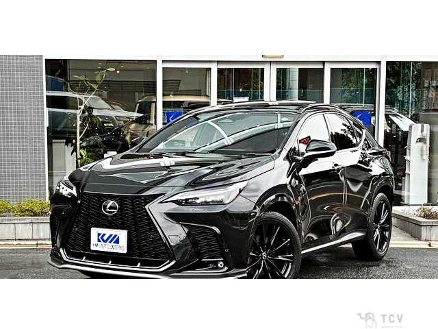 2023 Lexus NX