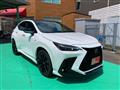 2023 Lexus NX