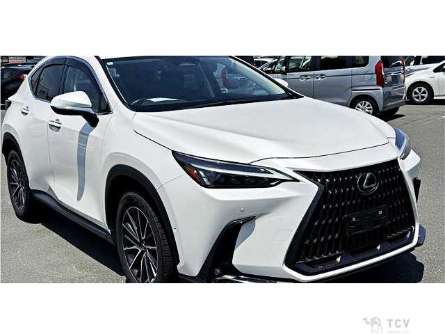 2023 Lexus NX