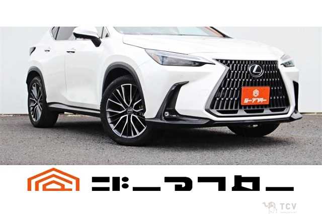 2023 Lexus NX