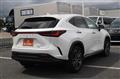 2023 Lexus NX
