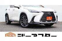 2023 Lexus NX