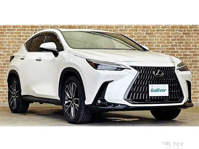 2023 Lexus NX