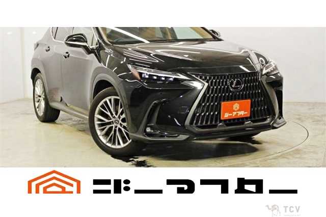 2023 Lexus NX