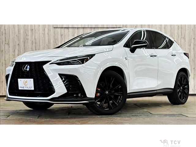 2023 Lexus NX