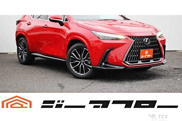 2024 Lexus NX