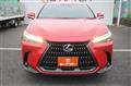 2024 Lexus NX