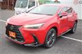 2024 Lexus NX