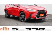 2024 Lexus NX