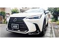 2024 Lexus NX
