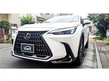 2024 Lexus NX