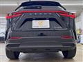 2024 Lexus NX