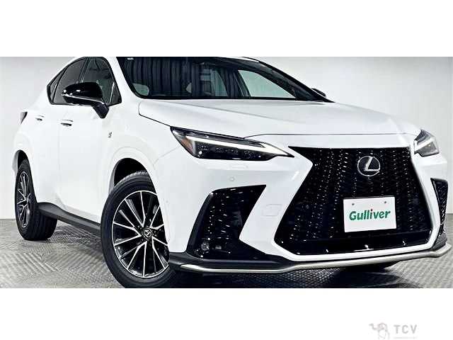 2024 Lexus NX