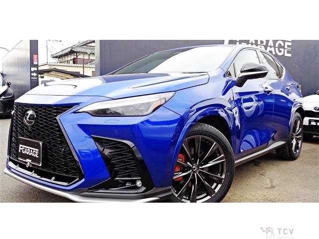 2024 Lexus NX