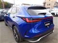 2024 Lexus NX