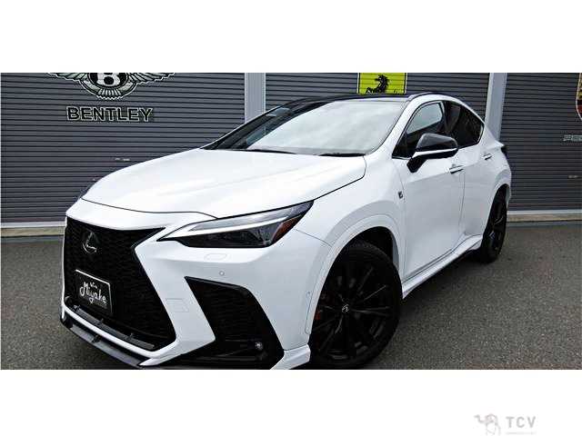 2024 Lexus NX