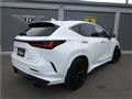 2024 Lexus NX