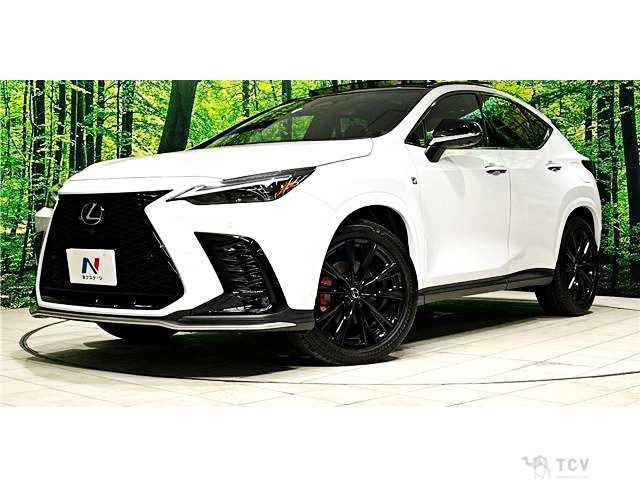 2024 Lexus NX