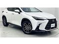 2024 Lexus NX