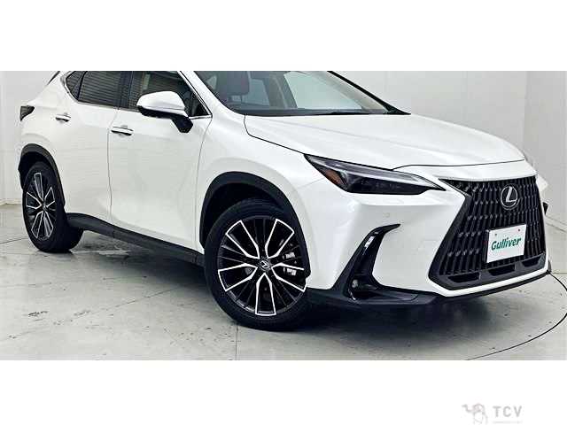 2024 Lexus NX