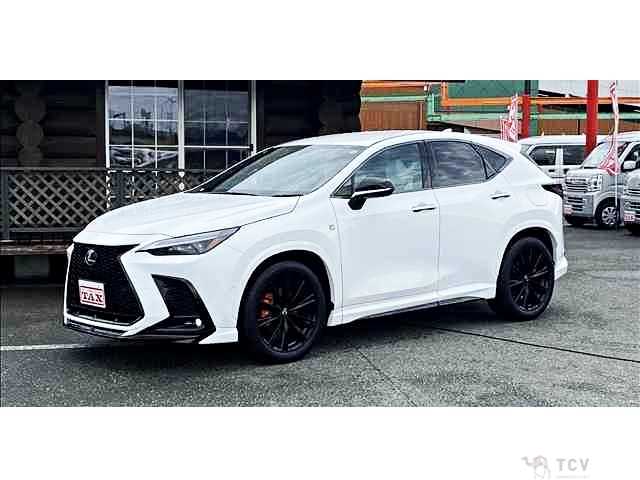 2024 Lexus NX