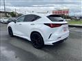 2024 Lexus NX