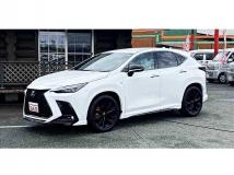 2024 Lexus NX