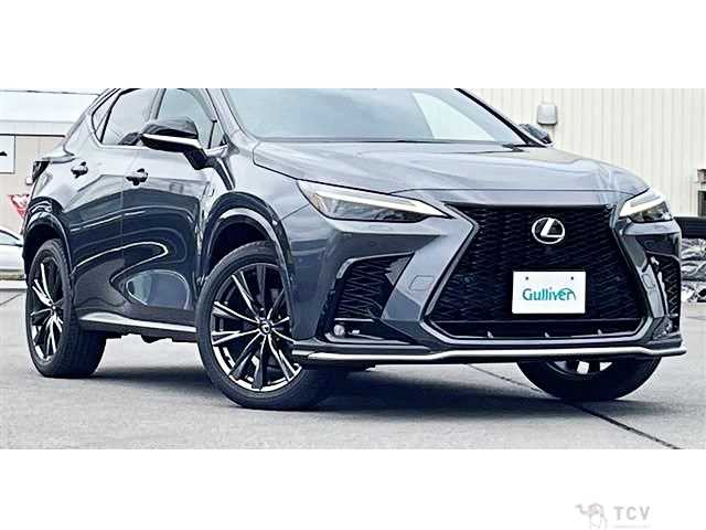 2024 Lexus NX
