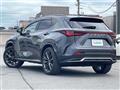 2024 Lexus NX