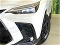 2024 Lexus NX