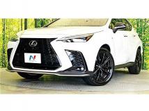 2024 Lexus NX