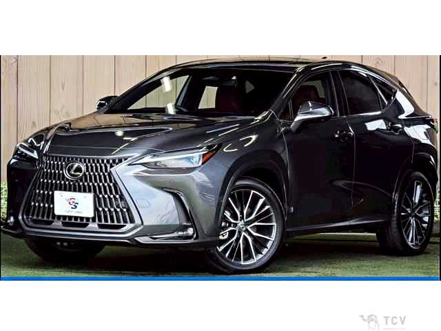 2024 Lexus NX
