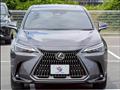 2024 Lexus NX