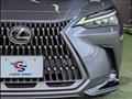 2024 Lexus NX