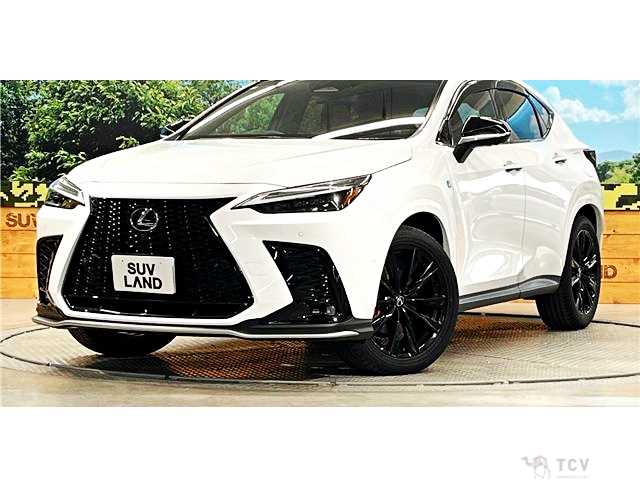 2024 Lexus NX